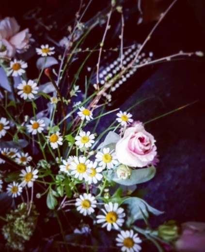 poesi ord billeder ordblomster