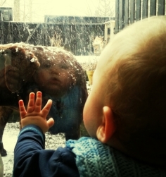 læsevanskeligheder læsning ordblind robuste børn robust børneliv familieliv hjerterum læring nervesystem stress mindfulness kost akupunktur massage specialpædagogisk massage børnemassage eksamensangst angst