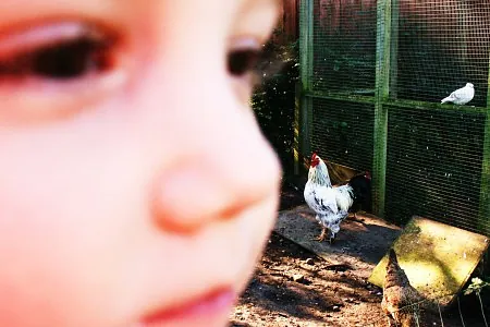 robuste børn robust børneliv familieliv hjerterum læring nervesystem stress mindfulness kost akupunktur massage specialpædagogisk massage børnemassage eksamensangst angst